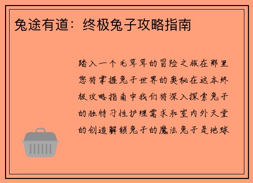 兔途有道：终极兔子攻略指南